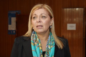 Predstavljanje Nacrta zakona o ozakonjenju objekata