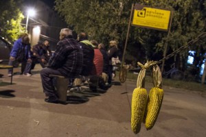 Protest radnika preduzeća "Agroseme-Panonija"