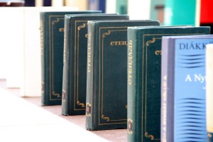 125 godina Subotičke biblioteke - domino spektakl "Knjigotres"