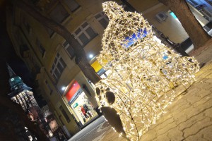 Subotica okićena pred novogodišnje praznike
