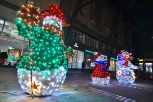 Subotica okićena pred novogodišnje praznike