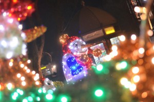 Subotica okićena pred novogodišnje praznike