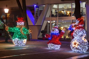 Subotica okićena pred novogodišnje praznike
