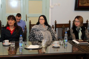 Sednica Saveta za rodnu ravnopravnost Skupštine grada