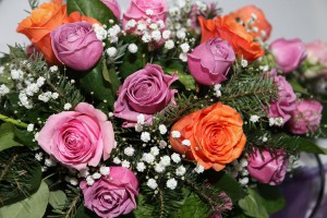 Goca Tržan: najava novogodišnjeg dočeka hotelu Galleria