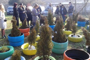 Projekat "Ruka ruci u Subotici"