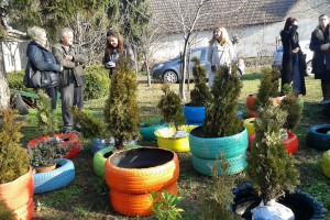 Projekat "Ruka ruci u Subotici"