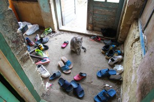 U poseti porodici Sivić