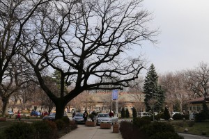 Dodela sertifikata za akreditaciju Bolnici