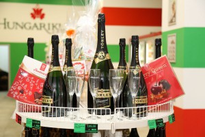 Hungarikum centar u Subotici (Dimitrija Tucovića 6)