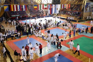 17. Super Enpi Kup - takmičenje u borbama