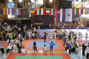 17. Super Enpi Kup - takmičenje u borbama