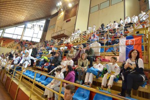 17. Super Enpi Kup - svečano otvaranje