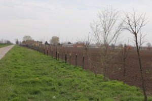 Obilazak rekonstruisanih vetrozaštitnih pojaseva