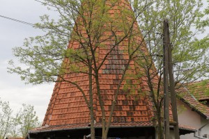 Završena prva faza izgradnje azila za pse