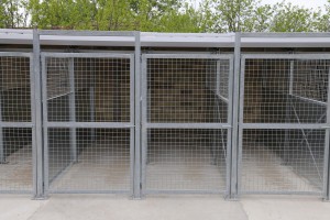 Završena prva faza izgradnje azila za pse