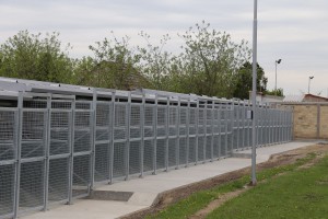 Završena prva faza izgradnje azila za pse