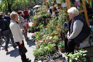 Regionalna izložba i Vašar cveća i bašte "Garden flora 2016"