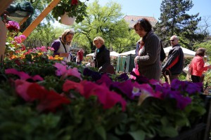 Regionalna izložba i Vašar cveća i bašte "Garden flora 2016"