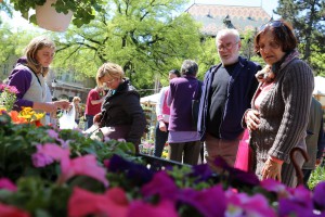 Regionalna izložba i Vašar cveća i bašte "Garden flora 2016"