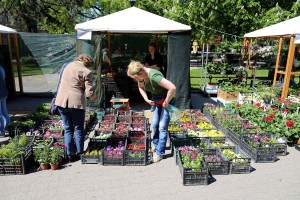 Regionalna izložba i Vašar cveća i bašte "Garden flora 2016"