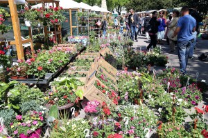 Regionalna izložba i Vašar cveća i bašte "Garden flora 2016"