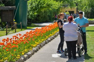 Subotnje popodne u Zoološkom vrtu na Paliću
