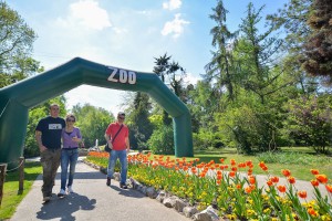 Subotnje popodne u Zoološkom vrtu na Paliću