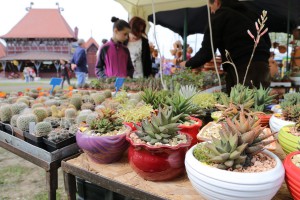 Prvomajski uranak na Paliću