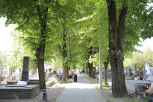 Polaganje venaca na Spomenik palim Crvenoarmejcima