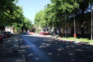 Asfaltiranje Bajskog puta