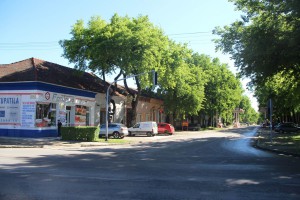 Asfaltiranje Bajskog puta