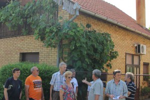 Performans građanske neposlušnosti članova UG "Solidarnost"