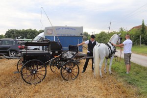 Takmičenje risara - doček, doručak i priprema za takmičenje
