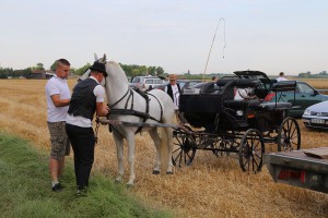 Takmičenje risara - doček, doručak i priprema za takmičenje