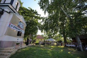 Dan Nikole Tesle u Subotici