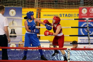 Finale 34. "Vojvođanske zlatne rukavice"