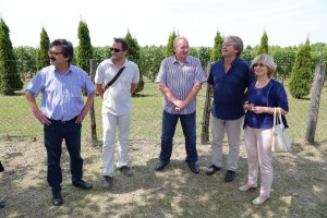 Puštanje u rad gasovoda na trasi Senćanski put - Palić