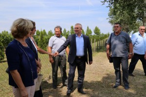 Puštanje u rad gasovoda na trasi Senćanski put - Palić