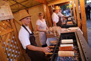 Dužijanca 2016 - smotra folklornih ansambala “Dužijanca”