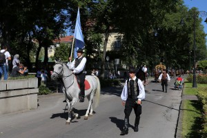 Dužijanca 2016 - povorka do katedrale sv. Terezije Avilske (#1)