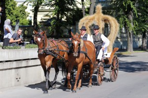 Dužijanca 2016 - povorka do katedrale sv. Terezije Avilske (#1)