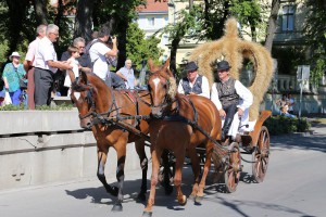 Dužijanca 2016 - povorka do katedrale sv. Terezije Avilske (#1)