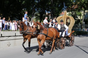 Dužijanca 2016 - povorka do katedrale sv. Terezije Avilske (#1)