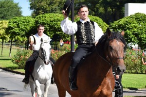 Dužijanca 2016 - povorka do katedrale sv. Terezije Avilske (#2)