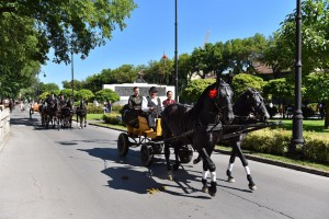 Dužijanca 2016 - povorka do katedrale sv. Terezije Avilske (#2)