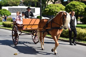 Dužijanca 2016 - povorka do katedrale sv. Terezije Avilske (#2)