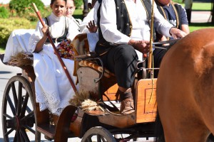 Dužijanca 2016 - povorka do katedrale sv. Terezije Avilske (#2)