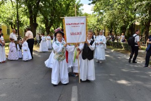Dužijanca 2016 - svečana povorka kroz grad i predaja hleba gradonačelniku (#2)