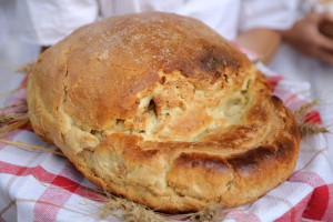 Dan Dužijance 2016 - povorka, Veliko bunjevačko kolo i polaganje venaca ispred biste Blaška Rajića (#1)